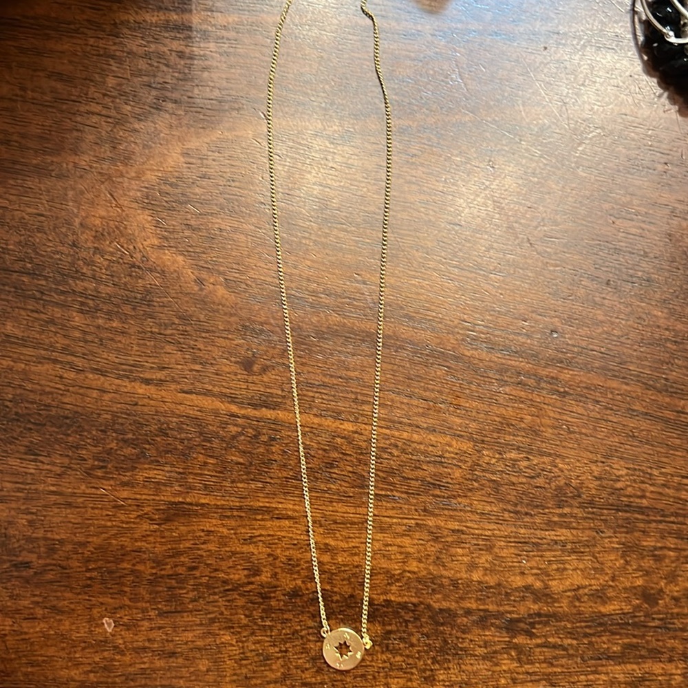 Dear Ava Gold Compass necklace worn once